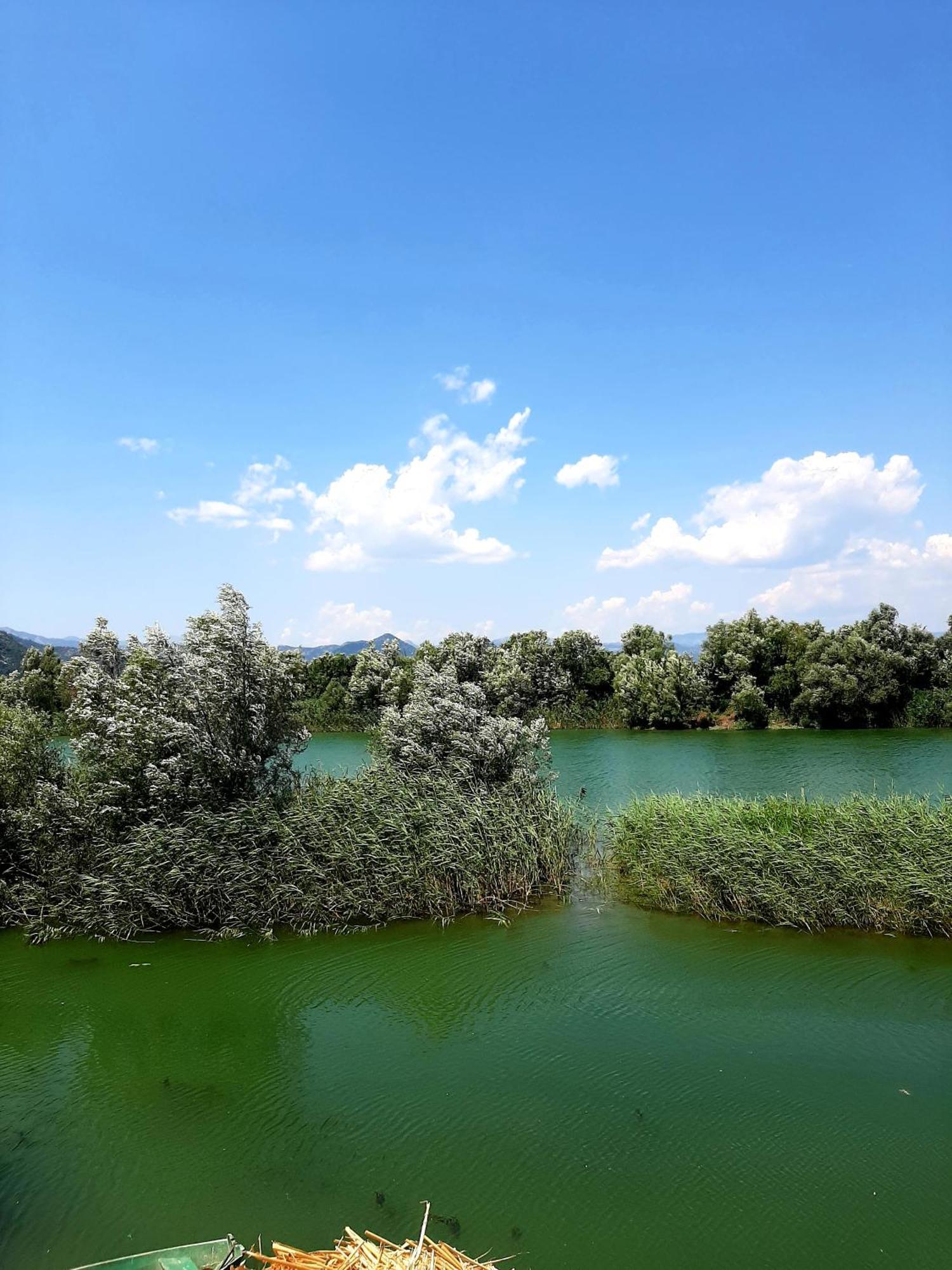 Skadar Lake House Virpazar Esterno foto