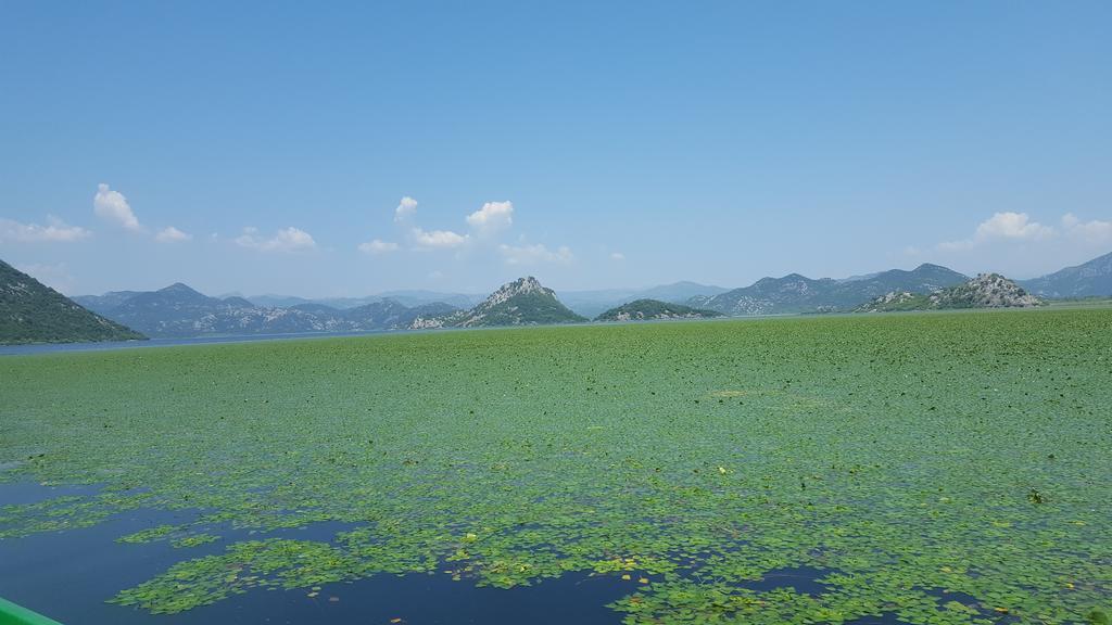 Skadar Lake House Virpazar Esterno foto